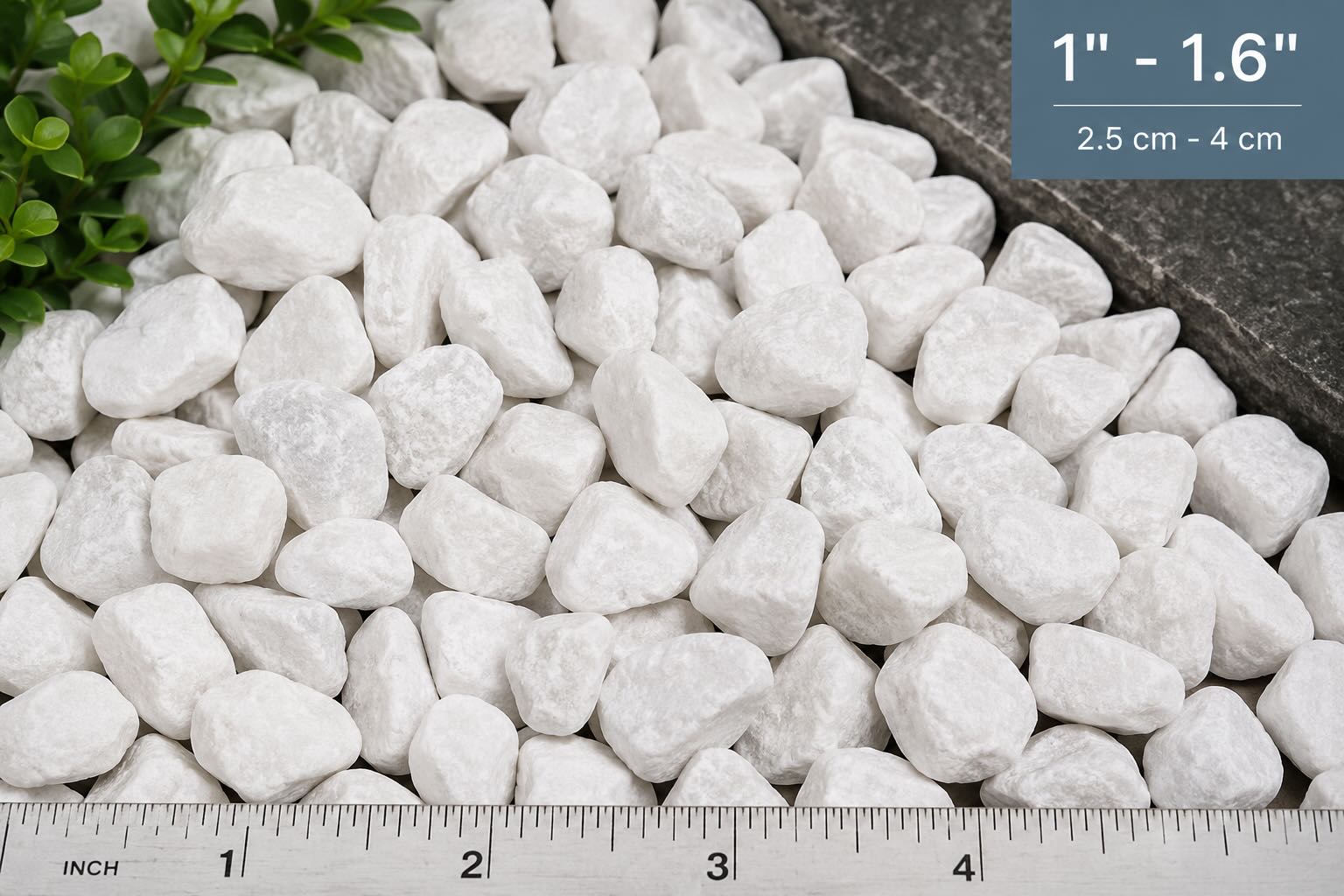 White dolomite pebbles measuring 1 to 1.6 inches
