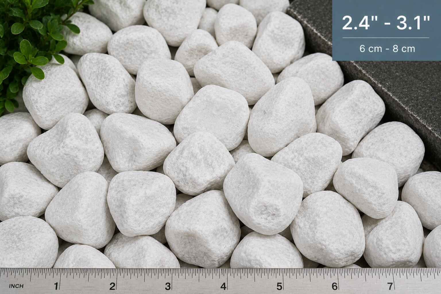 White dolomite pebbles measuring 2.4 to 3.1 inches