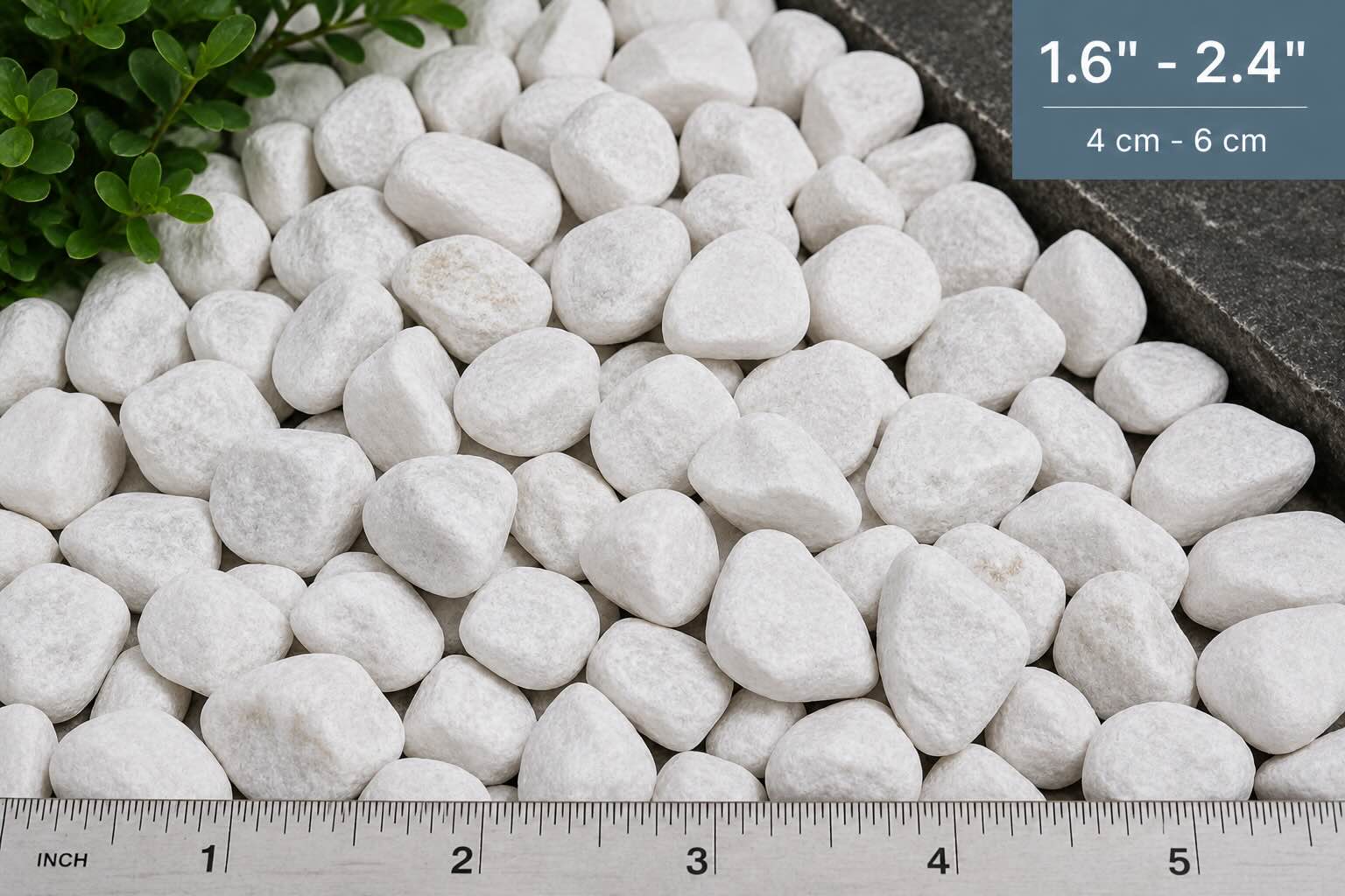 White dolomite pebbles measuring 1.6 to 2.4 inches